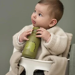 Gourde Mr. Dino (350 ml)