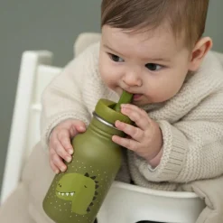 Gourde Mr. Dino (350 ml)