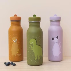 Gourde Mr. Dino (500 ml)