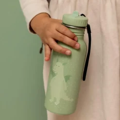 Gourde Mr. Dragon (500 ml)