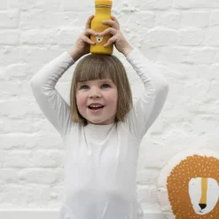 Gourde Mr. Lion (350 ml)