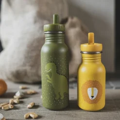 Gourde Mr. Lion (350 ml)