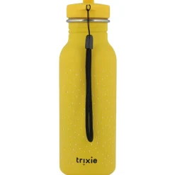 Gourde Mr. Lion (500 ml)