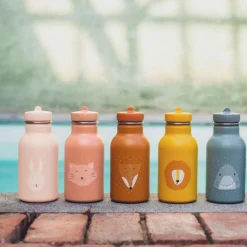 Gourde renard Mr. Fox (350 ml)