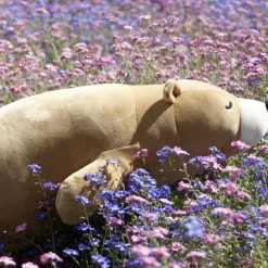 Grande peluche Nemu Nemu Cookie Ours brun (53 cm)