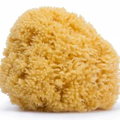 Grande éponge en fibre naturelle