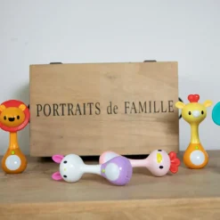 Hochet Sons et Lumières Lion