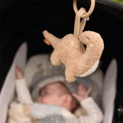 Jouet d'activités à suspendre Roarsome