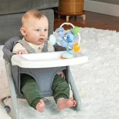 Jouet de table ventouse Raton Laveur