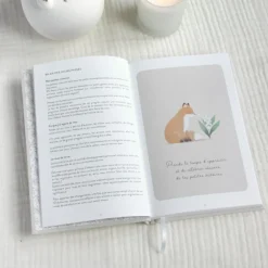 Journal de Gratitude