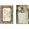 Jumeaux bébés souris dans leur boîte assortie