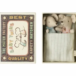 Jumeaux bébés souris dans leur boîte assortie