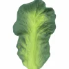 Kendall la feuille de chou en latex d'hévéa
