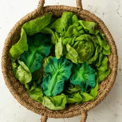 Kendall la feuille de chou en latex d'hévéa