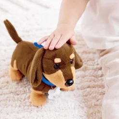 Kit du petit vétérinaire