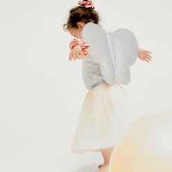 Kit papillon Rose et Argent (3-8 ans)