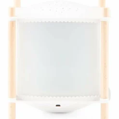 Lanterne magique - Révolution 2.0 Puce et Pilou