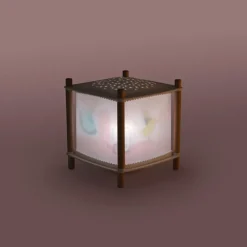 Lanterne magique Révolution 2.0 La petite école de danse