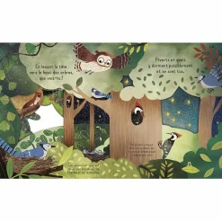 Livre Bonne nuit, la forêt !