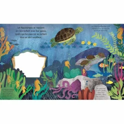 Livre Bonne nuit, l'océan !