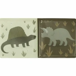 Livre de bain amis des Dinosaures