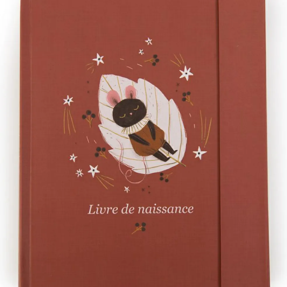 Livre de naissance Après la pluie