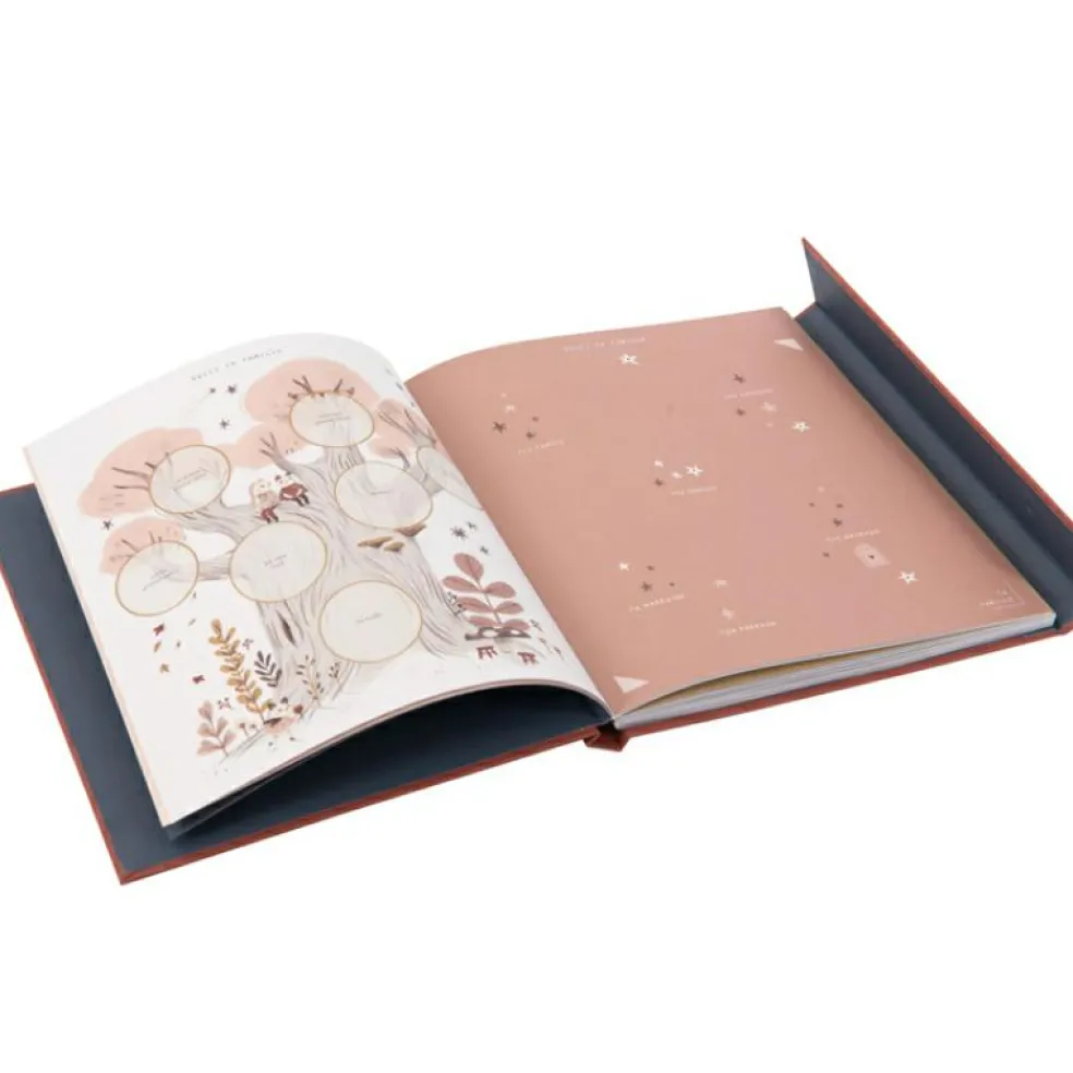 Livre de naissance Après la pluie