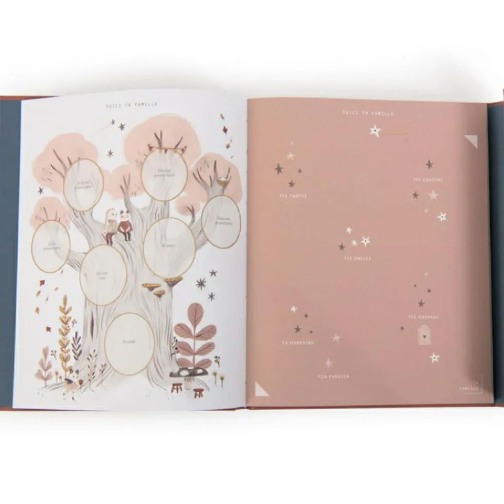 Livre de naissance Après la pluie