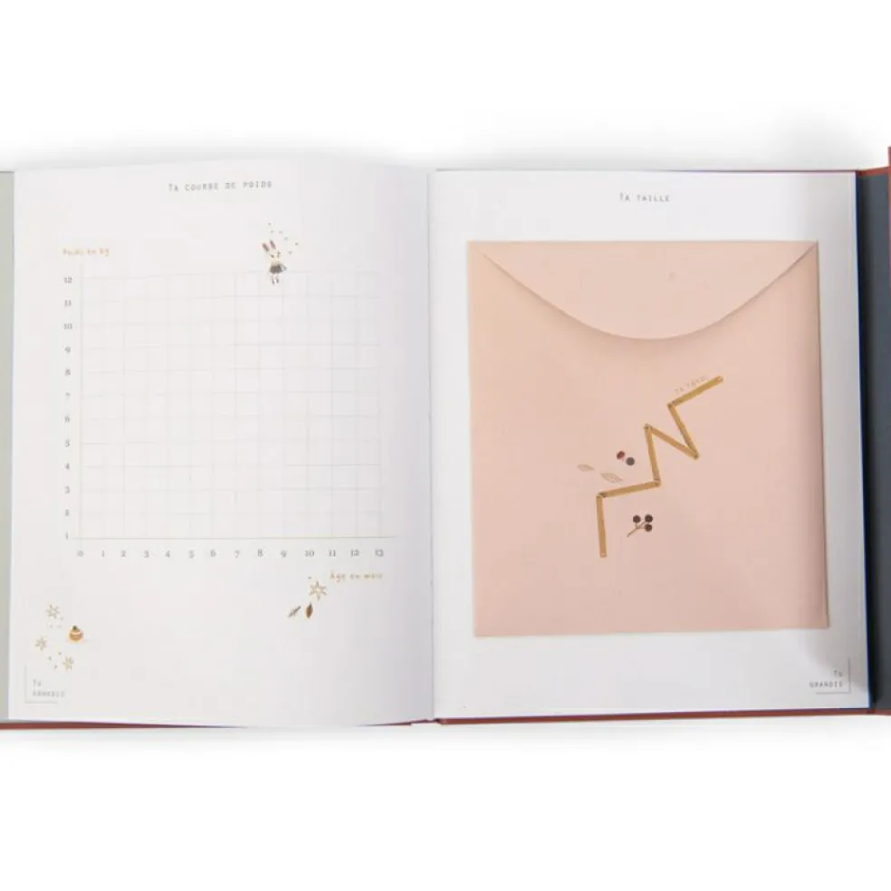 Livre de naissance Après la pluie