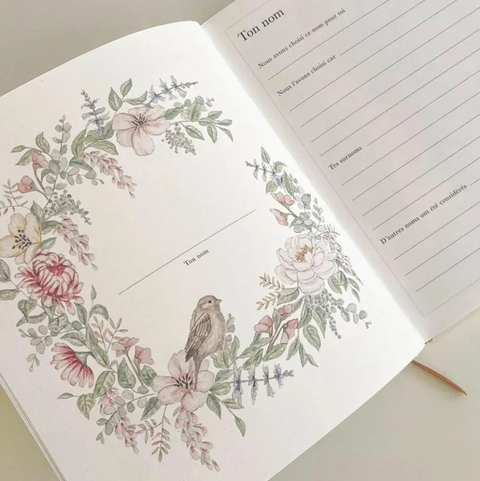 Livre de Naissance rose Mix (21 x 24 cm)