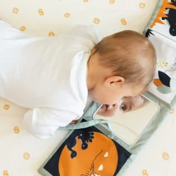 Livre d'éveil Diplododo