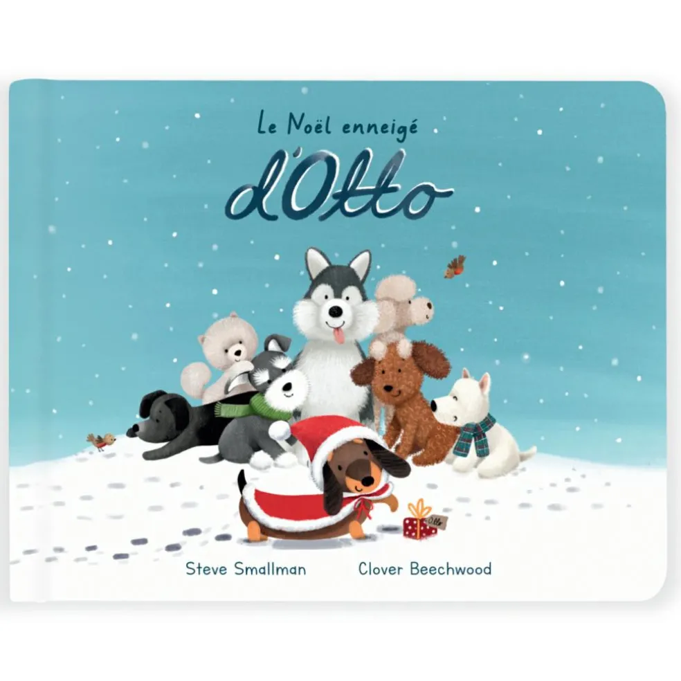 Livre le Noël enneigé d'Otto