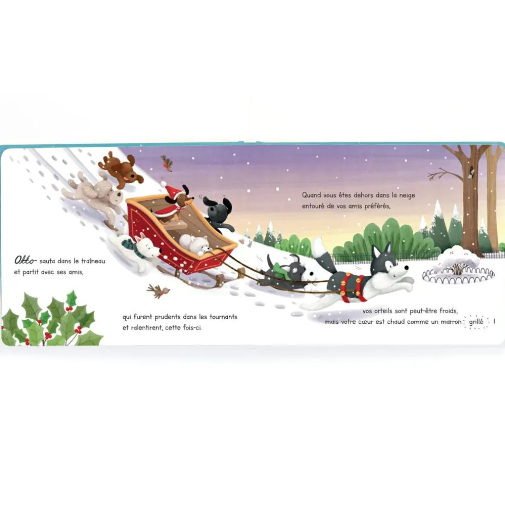 Livre le Noël enneigé d'Otto