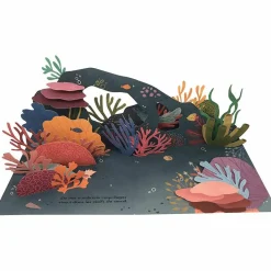 Livre pop-up Trésors de l'Océan