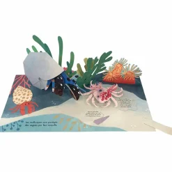 Livre pop-up Trésors de l'Océan