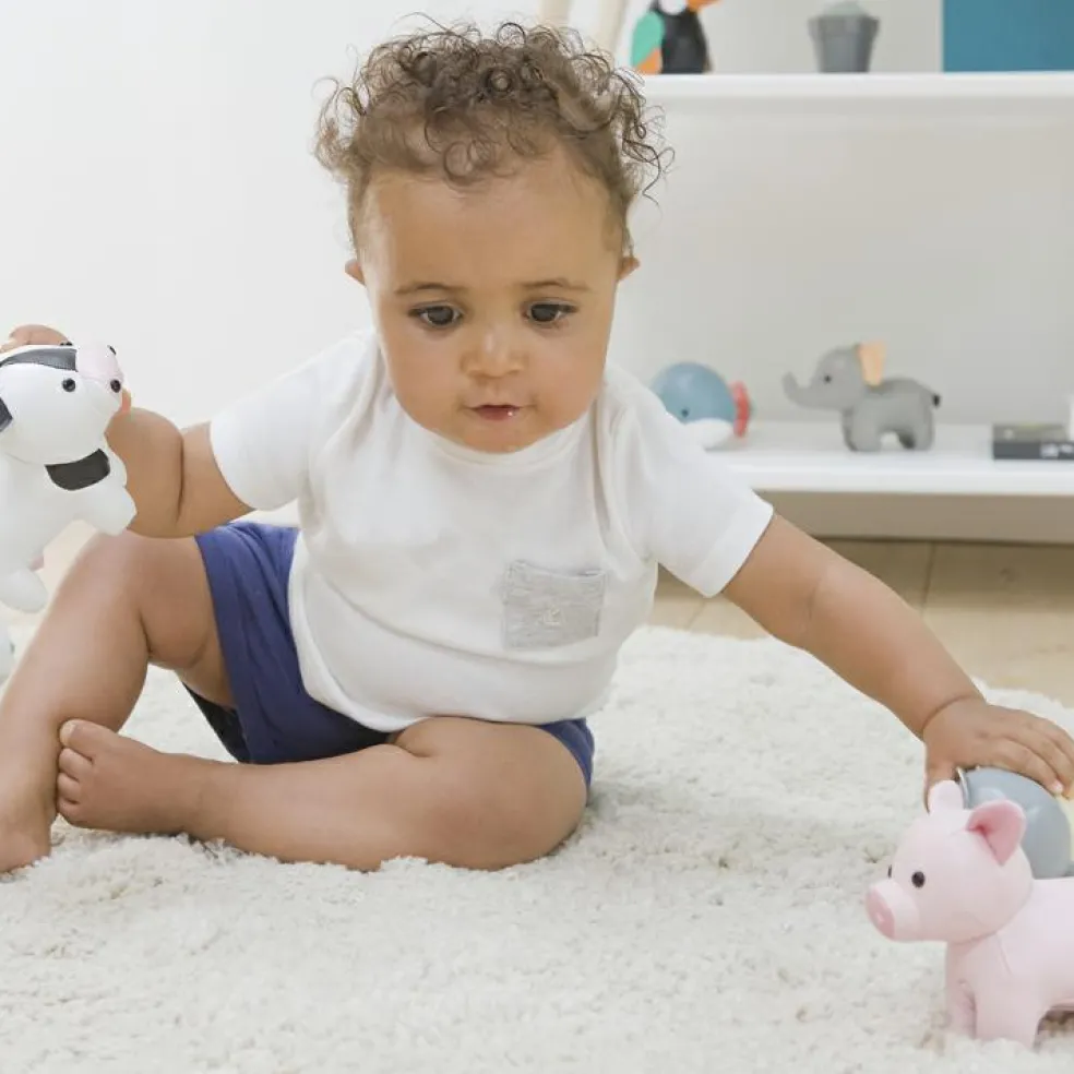 Léon le Cochon Les Petits Animaux