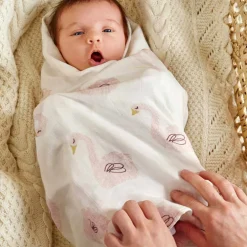 Lot 3 langes cygne Little Water (80 x 80 cm)