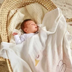 Lot 3 langes cygne Little Water (80 x 80 cm)