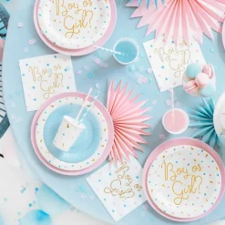 Lot de 6 assiettes garçon ou fille (23 cm)