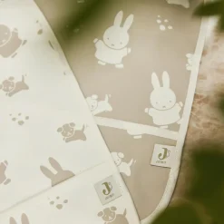 Lot de 2 bavoirs plastifiés Miffy Snuffy Nougat