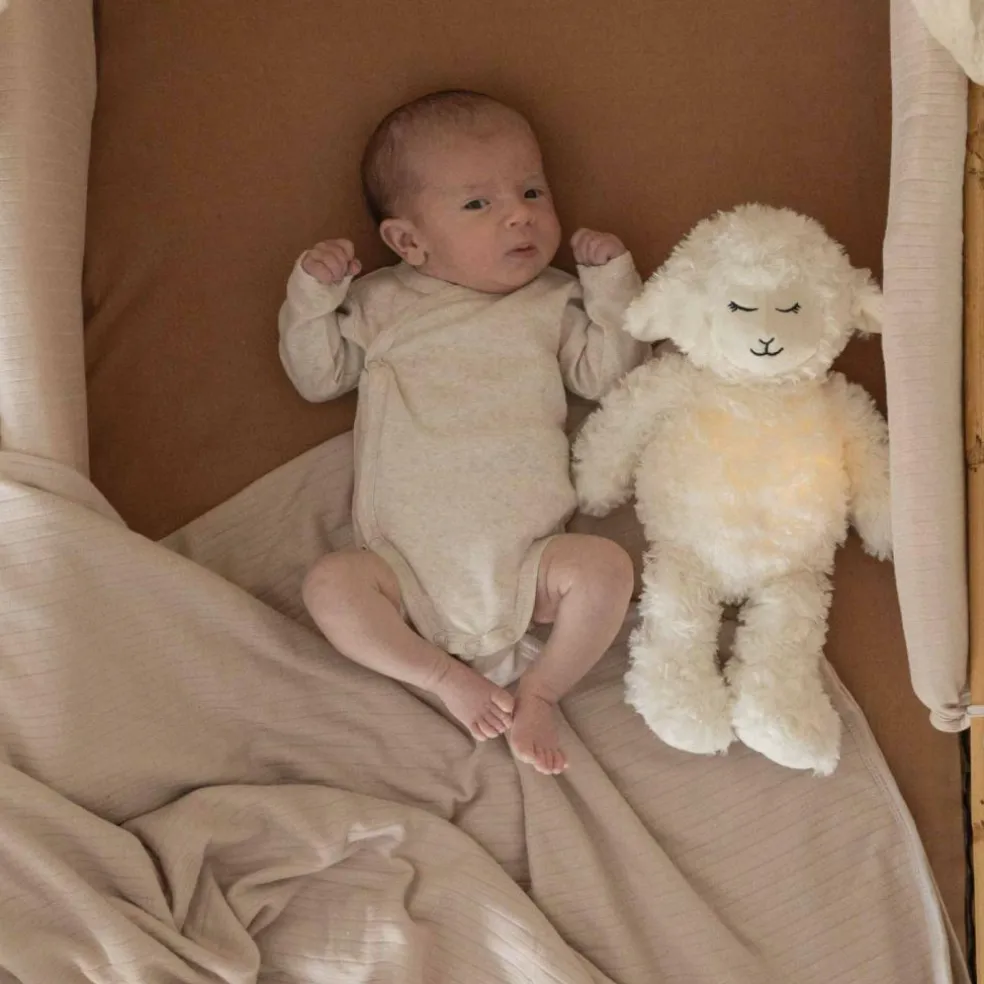 Lot de 2 bodies Blés (naissance)