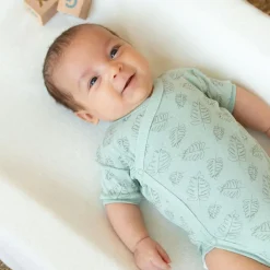 Lot de 2 bodies Feuille (1 mois)