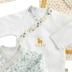 Lot de 3 bodies Promenons-nous (3 mois)