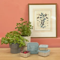 Lot de 3 boîtes à goûter Garden Explorer