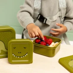 Lot de 3 boîtes à goûter Mr. Dino