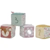 Lot de 4 cubes doux Fairy Garden