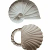 Lot de 2 jouets de dentition Ocean and Shell