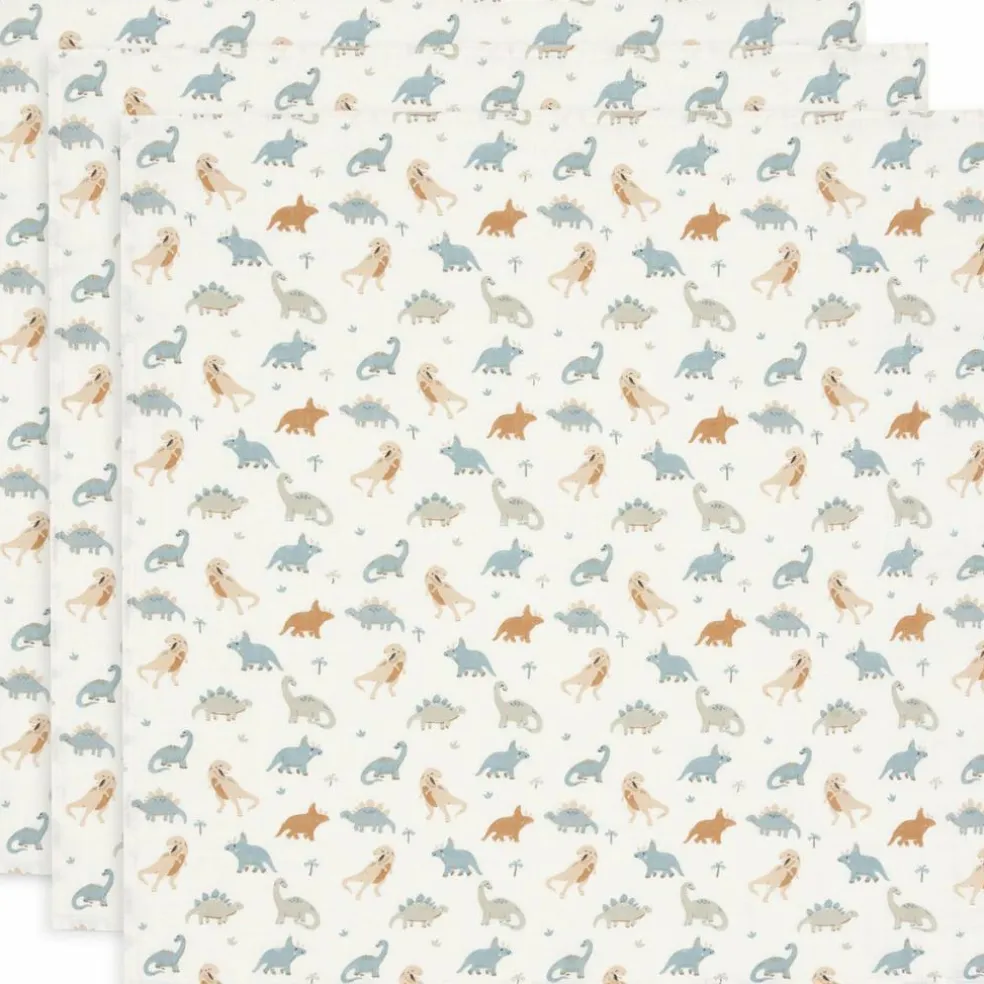 Lot de 3 langes en coton Roarsome (70 x 70 cm)