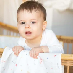 Lot de 3 langes en mousseline Cache-cache en forêt (70 x 70 cm)