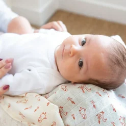 Lot de 3 langes en mousseline de coton Oies (70 x 70 cm)